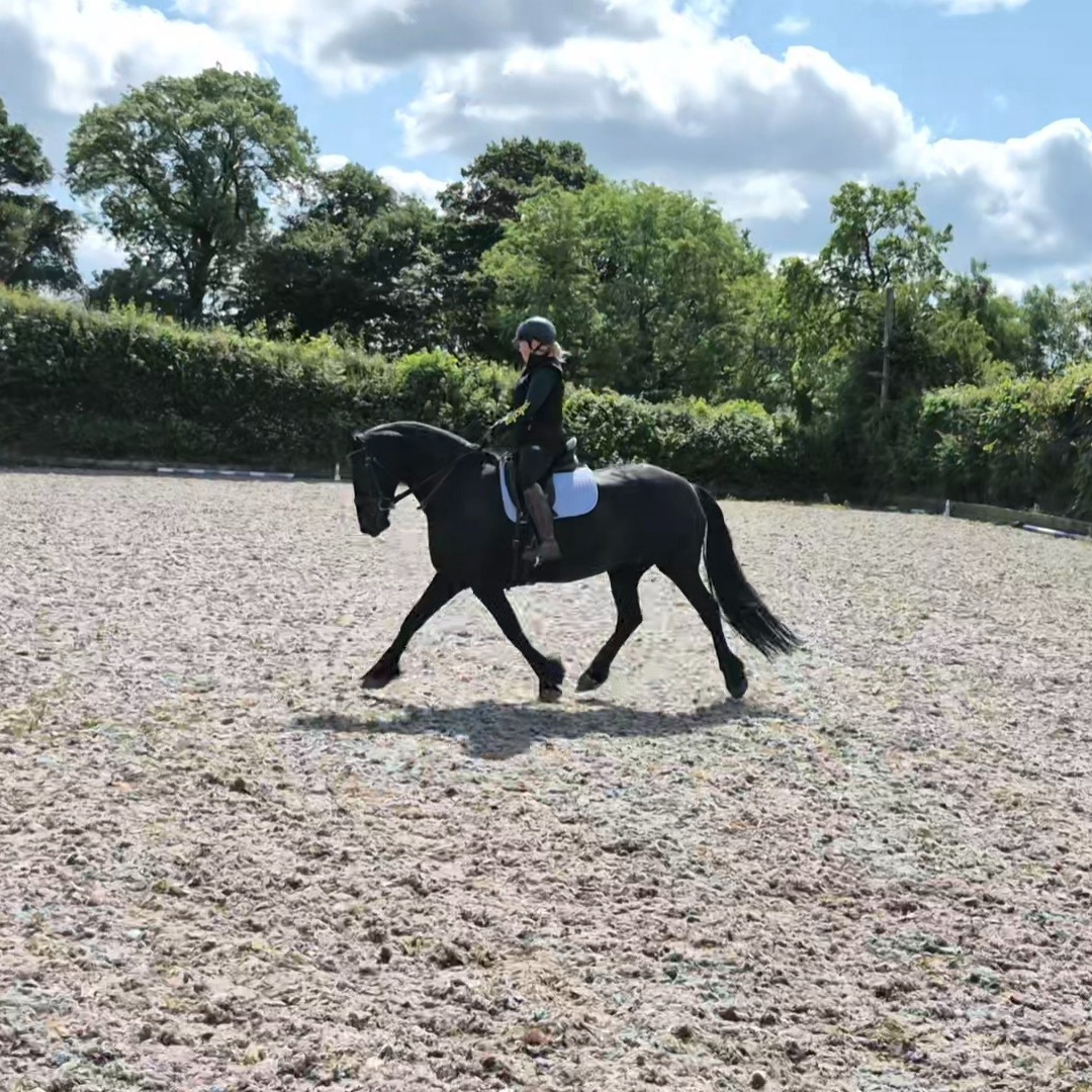 Rider in dark clothing riding a black Friesian horse called Nancy. They're riding in a sand arena, surrounded by trees and the sky is blue with a few clouds